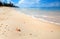 Seashell macro view on blur ocean