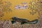 A Seashell Mosaic of an Iguana