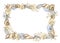 Seashell Rectangular Frame. Hand drawn watercolor illustration of border with sea shells and starfishes on white