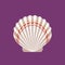 Seashell scallop flat icon