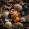 Seashell Treasures: Beachcombing Discovery - AI Generated