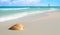 Seashell on Tropical Beach