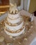 Seashell Wedding Cake with Star Fish and Sanddollars
