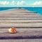 Seashell on wooden background and caribbean sea.