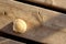 A seashell on a wooden dock