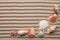 Seashells amid undulating sand