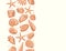 Seashells background. Vector