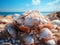 Seashells in a basket on the seashore.