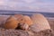 The Seashells on the beach of the Atlantic Ocean at Emerald Isle, NC