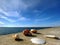 Seashells and bird  feather   on stone rock on sunset at blue  sea summer sun reflection on water wave  nature landscape