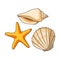 Seashells from the bottom of the sea.Summer rest single icon in cartoon style rater,bitmap symbol stock illustration.