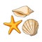 Seashells from the bottom of the sea.Summer rest single icon in cartoon style vector symbol stock illustration.