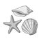 Seashells from the bottom of the sea.Summer rest single icon in monochrome style vector symbol stock illustration.