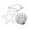 Seashells from the bottom of the sea.Summer rest single icon in outline style vector symbol stock illustration.