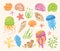 Seashells cartoon hand drawn set ocean marine starfish mollusk seaweed conch jellyfish sea vector