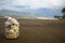 Seashells collection on the sand beach. Experimental composition with diagonal horizon.