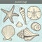 Seashells Craft Elements Set