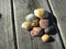 Seashells on dock