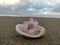 Seashells and flowers on a white sand beach with white clouds and blue sky in the morning are very pretty