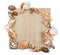 Seashells frame of seashells