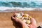 Seashells in hands on the background of the sea, the concept of recreation