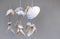 Seashells hanging on white background. Seashell mobile is handicrafts produced by handmade.