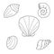 Seashells Line art Black on white background Illustration doodle Monochrome Underwater World collection Icons and