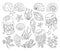 Seashells outline doodle set ocean marine starfish mollusk seaweed conch jellyfish tropical vector