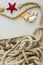 Seashells and pebbles, starfish and rope arranged on a gray background.