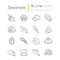 Seashells pixel perfect linear icons set