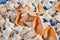 Seashells for sale on Kanyakumari beach,Tamilnadu, India