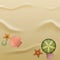 Seashells on sand, background