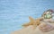 Seashells on sand with glass ball with blue water