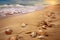 seashells scattered around sandy footprints