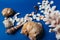 Seashells, sea horse, coral on a blue background, flatpley