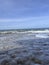 seashells on the seashore on the argentine atlantic coast