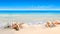 Seashells on Seashore - Beach Vacation Background. Generative AI