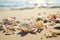 Seashells shells laying on sand sea beach tropical sanded seashore sandy seacoast blue waves backdrop beauty calm