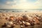 Seashells shine on a beach, creating an exotic tropical vacation scenery