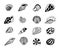 Seashells sketch icons