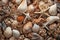 Seashells and starfish as background, closeup view, Experience rich textures with macro photography, showcasing intricate patterns