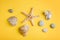 Seashells, starfish and pebbles on yellow background. Beauty of underwater nature