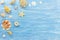 Seashells with starfish on rustic wooden blue background