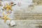 Seashells, starfish and sand on a rustic wooden background with copy space.