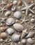 Seashells and Starfish Spread Across a Sandy Beach, Generated with Ai
