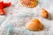 Seashells and starfish on white cloth background