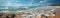 Seashells and starfishes on the beach in a panorama. Ai generated