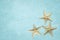 Seashells and starfishes on a blue concrete loft background. Souvenirs from travel, trips, recreation. Cruise theme marine. Sea,