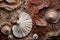 Seashells on a textured background. Top view, Experience rich textures with macro photography, showcasing intricate patterns of