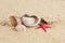 Seashells und starfish on sand beach postcard